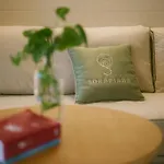 Sorapiana Vidor