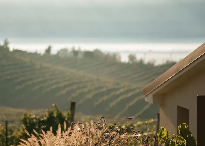 Sorapiana Lantgård *